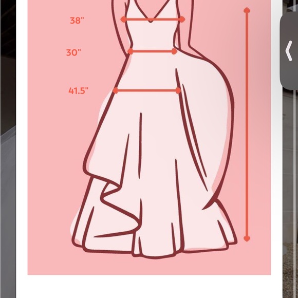 Tulle Wedding Dress Swallow - Picture 10 of 11